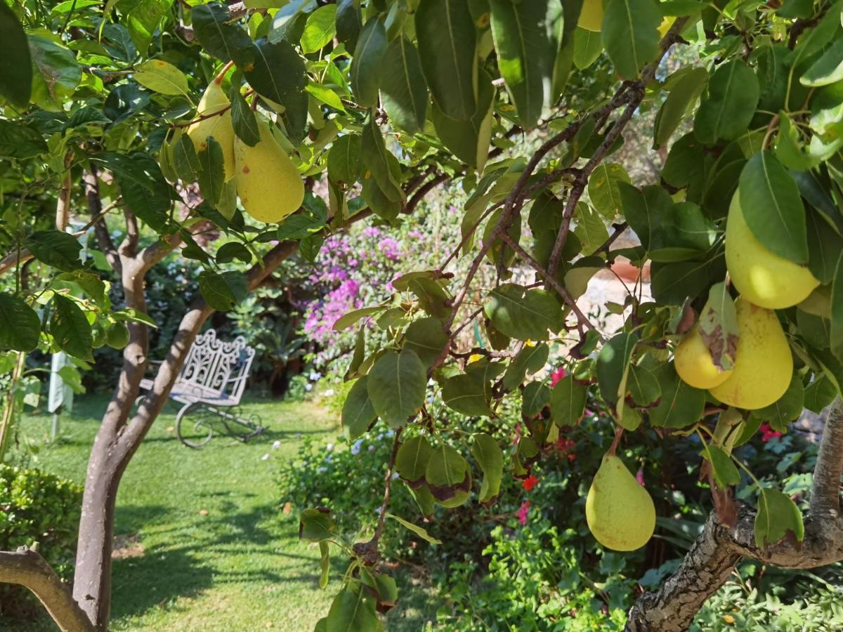 Il Giardino Di Tatiana Rooms & Breakfast La Maddalena  Exteriör bild