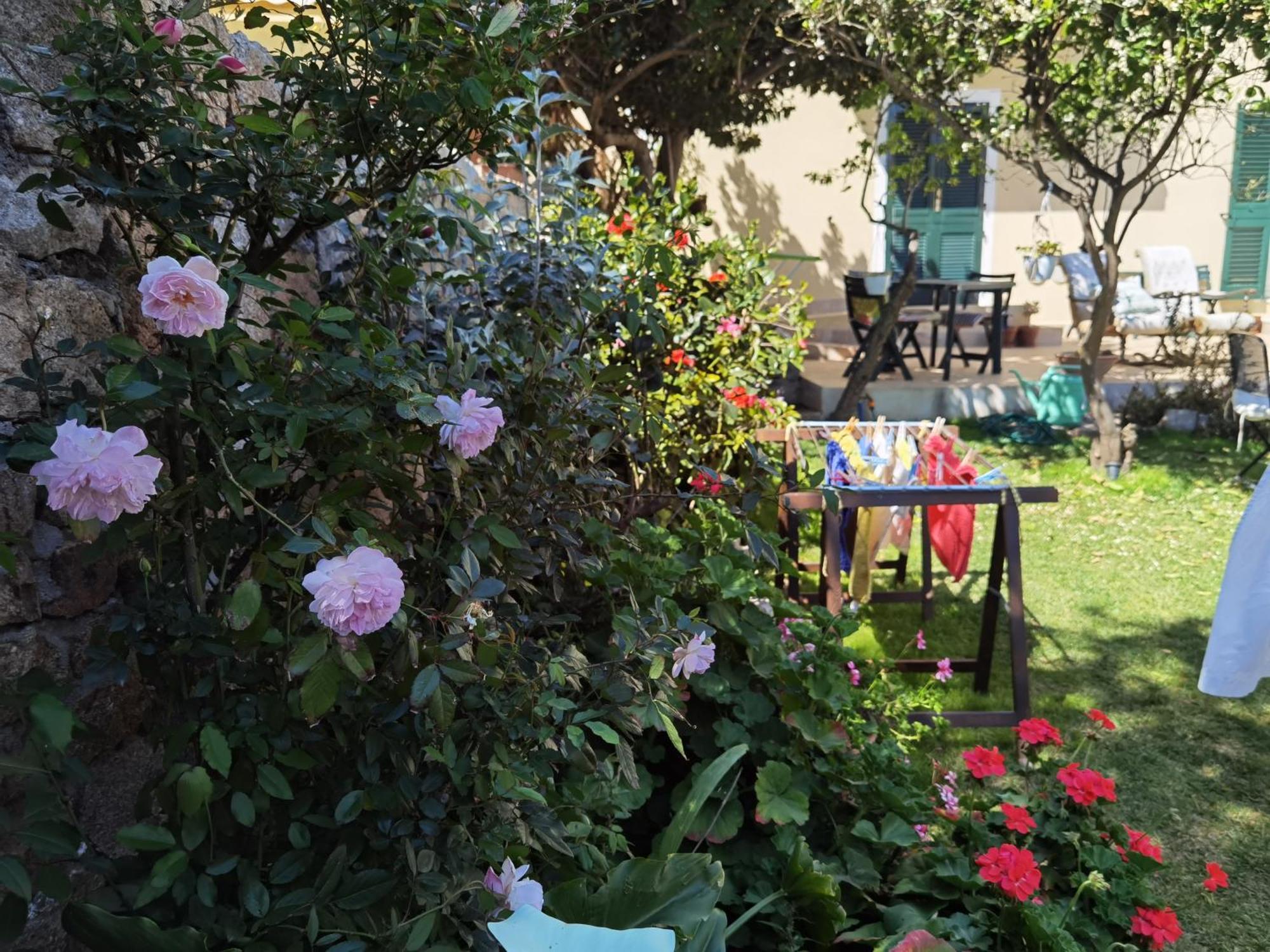 Il Giardino Di Tatiana Rooms & Breakfast La Maddalena  Rum bild