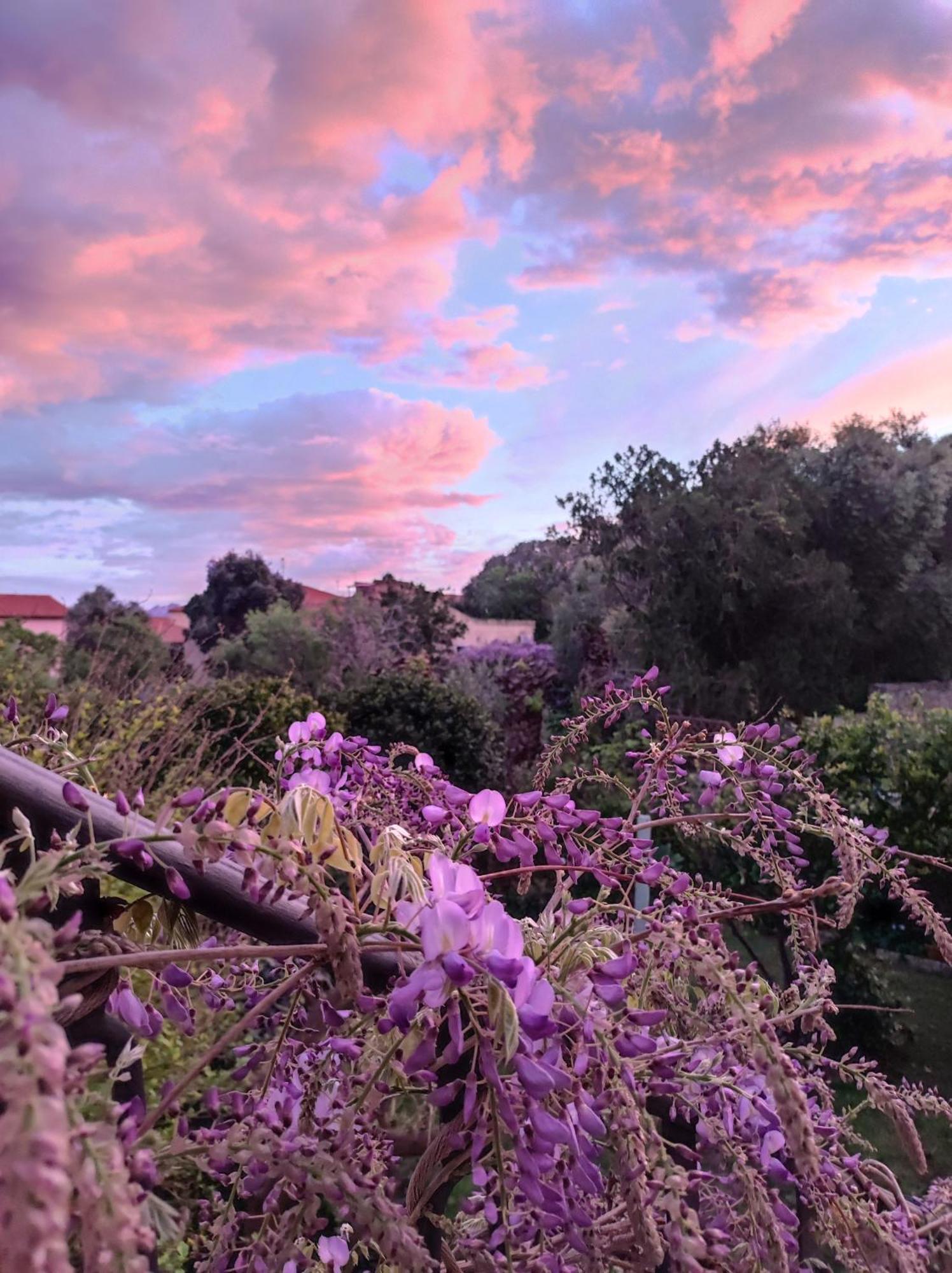 Il Giardino Di Tatiana Rooms & Breakfast La Maddalena  Rum bild