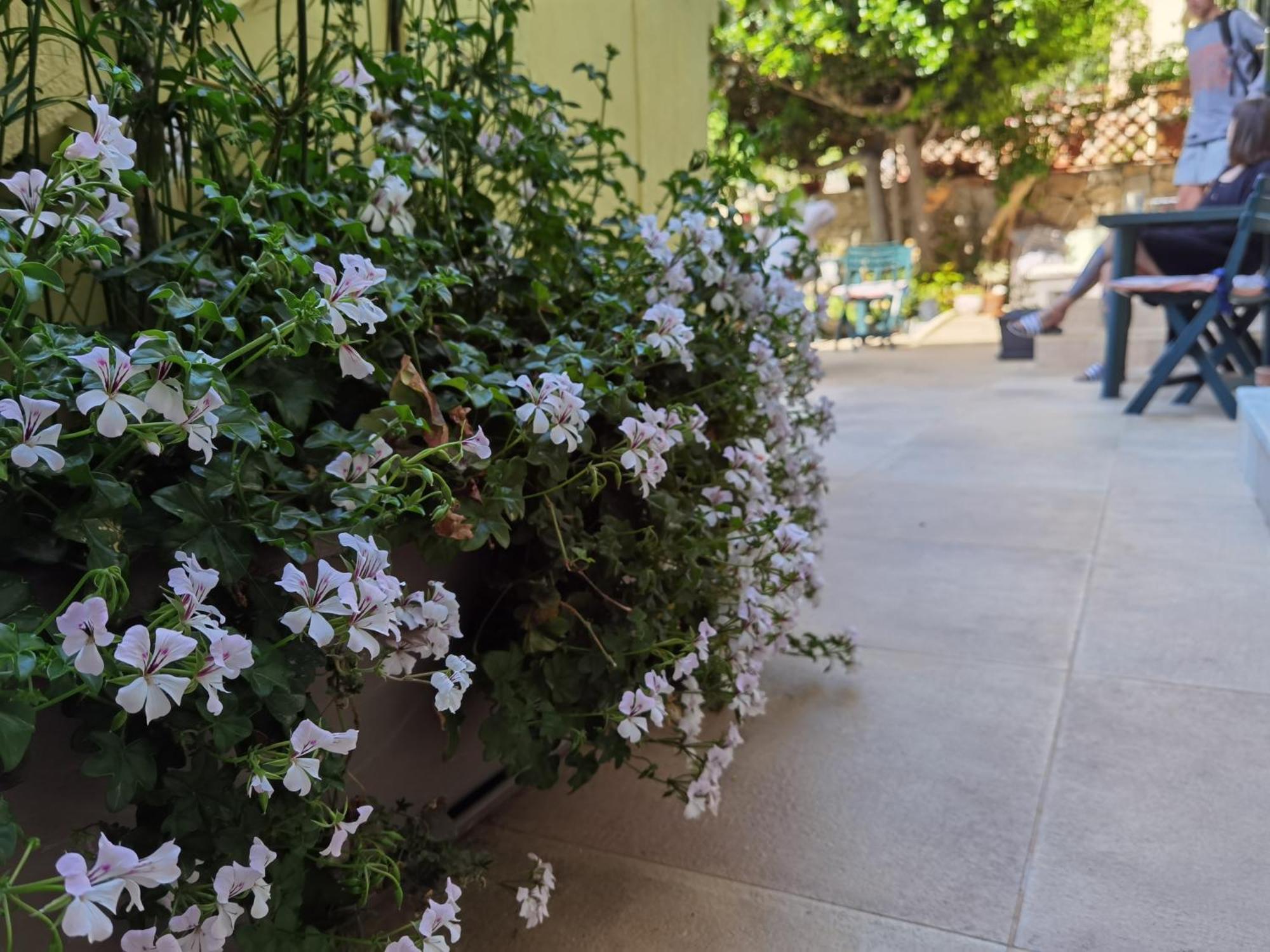 Il Giardino Di Tatiana Rooms & Breakfast La Maddalena  Rum bild