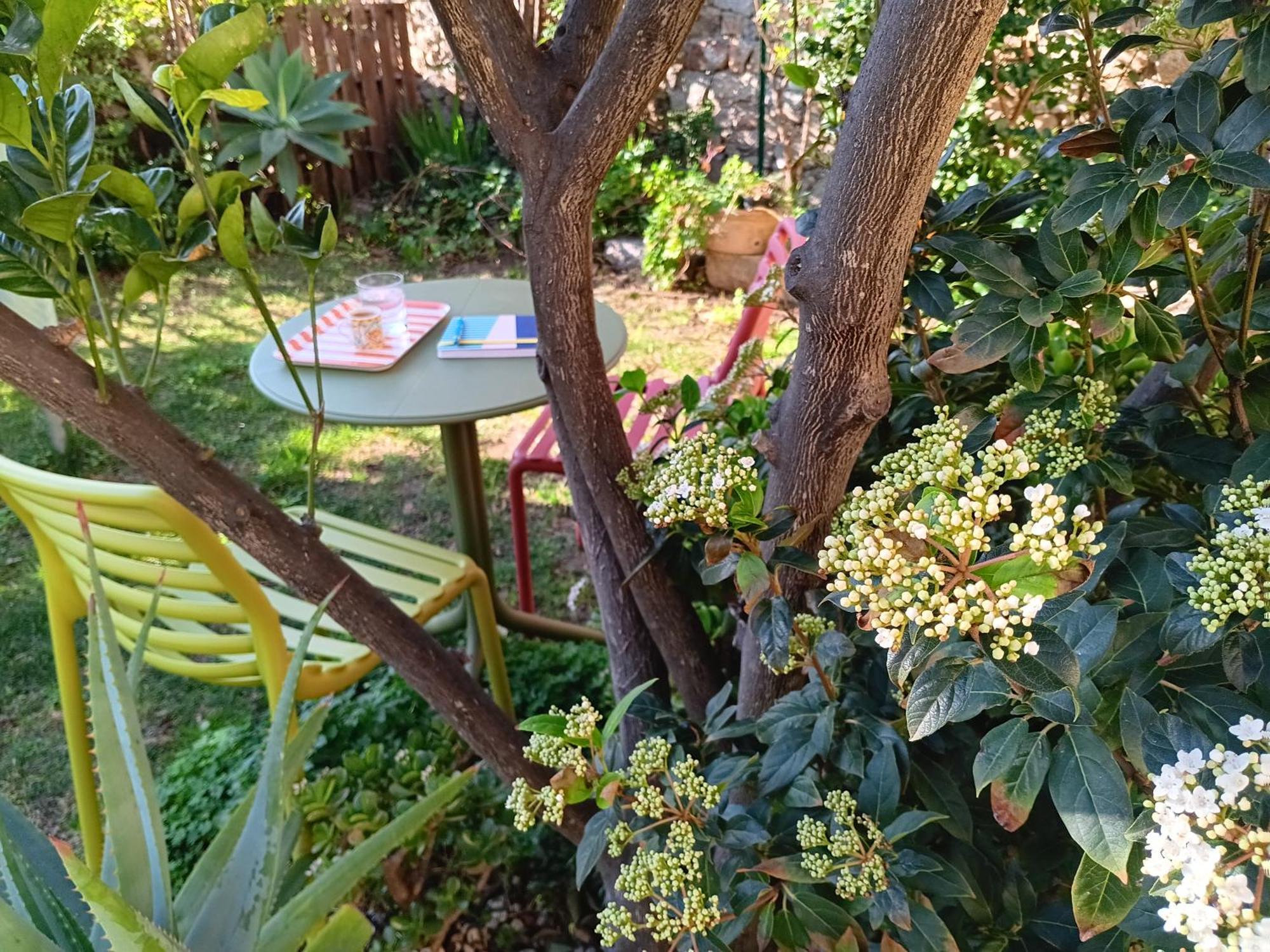 Il Giardino Di Tatiana Rooms & Breakfast La Maddalena  Rum bild