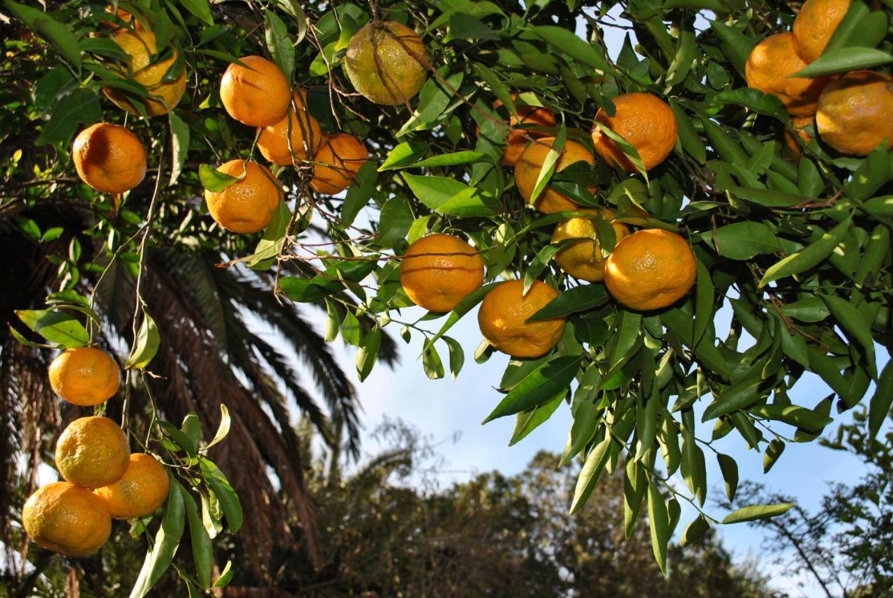 Il Giardino Di Tatiana Rooms & Breakfast La Maddalena  Exteriör bild